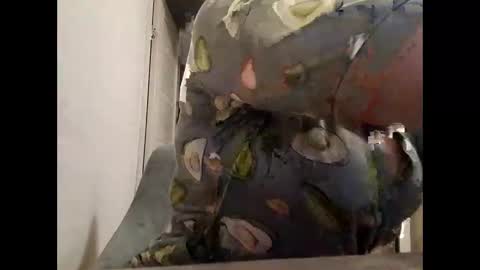 Your dreams best breasts online show from February 5, 6:44 pm