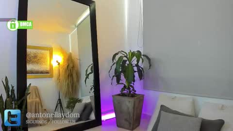 Antonella14Dominic online show from November 25, 4:50 pm