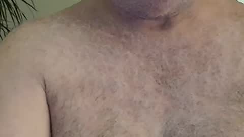 anydaynow2024 online show from December 4, 11:32 am