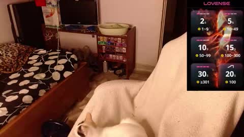 Andres online show from February 14, 8:28 am