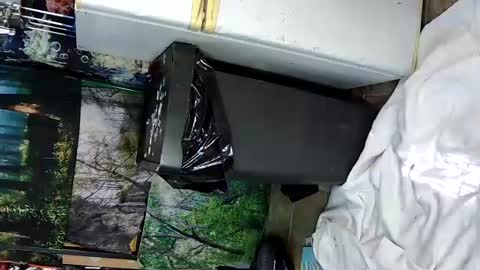 aquafoxxy online show from June 15, 9:29 pm