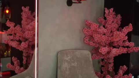 Adele online show from November 3, 4:57 am