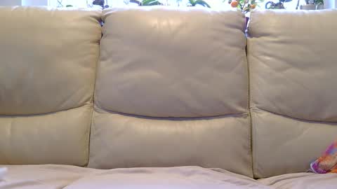 aryton_67 online show from January 26, 8:25 am