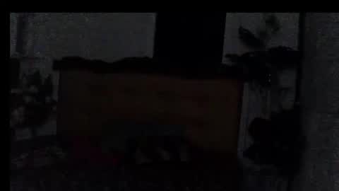 asianladyboy888 online show from February 9, 5:49 pm