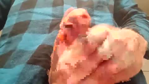 asssssssssseater6947 online show from December 14, 10:21 am