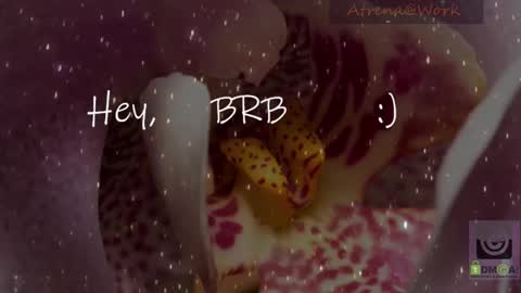 Atrena online show from January 13, 3:36 am