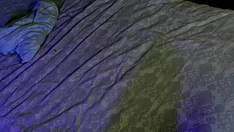 audreynsparky online show from September 24, 12:23 pm