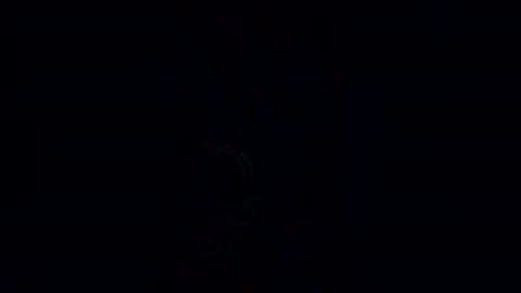 dog79 online show from July 11, 7:13 am