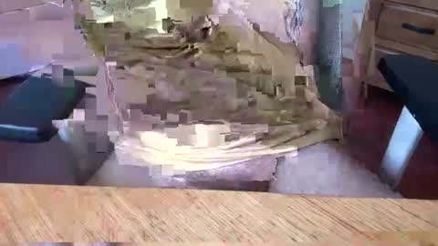 Rich online show from March 5, 5:07 am