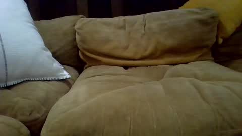 averagecock696969 online show from February 23, 6:17 am