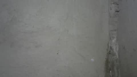 I am Zai online show from March 25, 2:57 pm