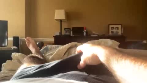 Backbay90 online show from December 31, 2:03 pm