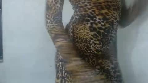 baddiebitchx online show from June 13, 2:55 am