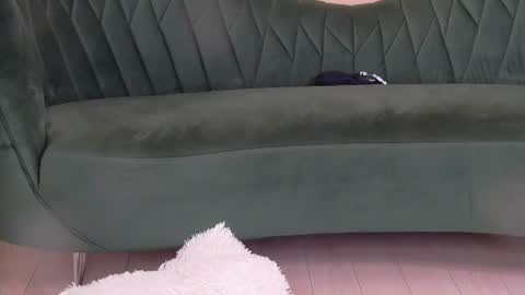 bailey_rush online show from July 11, 6:11 pm