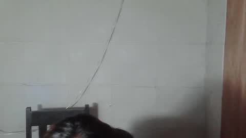 baninay810654 online show from January 16, 10:30 pm