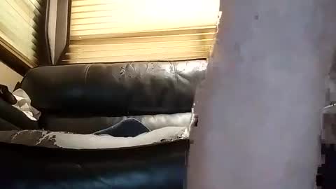 baobabtree10 online show from November 15, 1:56 pm