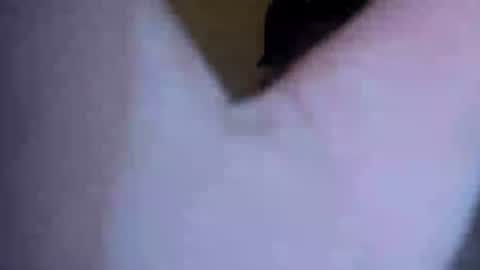 barniemay1 online show from July 5, 4:41 am