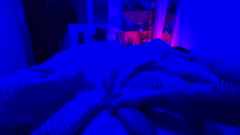 bastone66 online show from November 9, 1:09 am