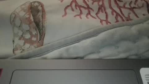 Emma online show from April 12, 6:06 am