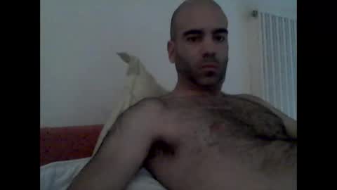 bear14250949 online show from October 19, 9:14 am