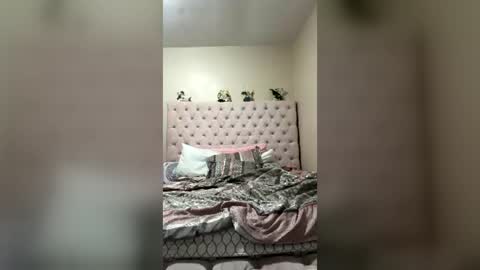 Beauty online show from July 19, 6:49 am