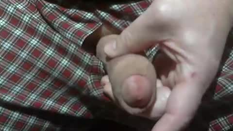  Reservoir Dogs online show from February 27, 2:42 pm