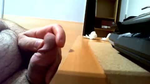 belgianfatcock online show from August 1, 8:54 pm