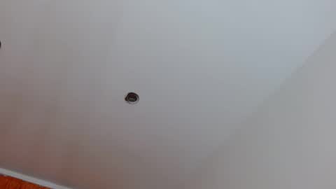 bella_gentle online show from November 24, 9:19 am