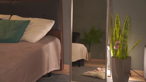 Bella I took a vacation and Ill be back on December 18th So dont lose me To keep in touch I have a TG -  you can find below online show from November 12, 7:43 am