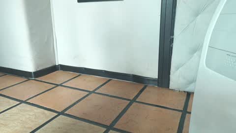    online show from December 19, 1:51 pm