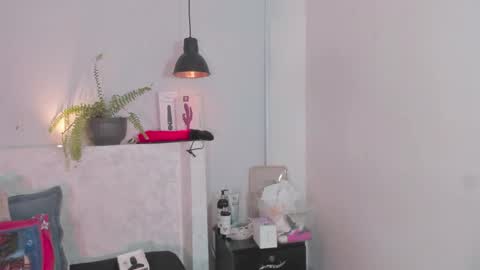 Bellota Flak online show from December 14, 8:04 pm