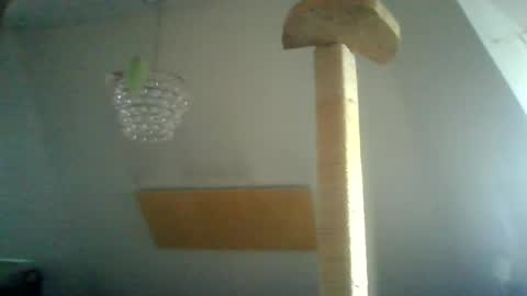 benizio online show from January 15, 10:38 am