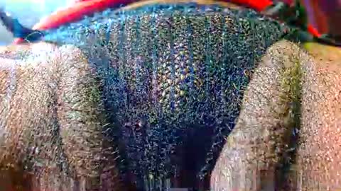 Bethany Wilson online show from February 14, 12:19 pm