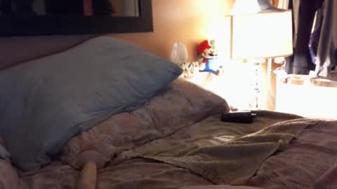 bidaddy83 online show from September 25, 9:27 am