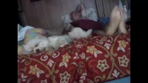 BB online show from October 20, 1:32 am