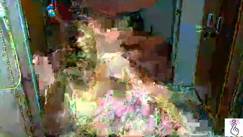 bigboobslyn online show from March 29, 7:04 pm