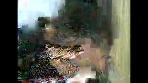 bigboobslyn online show from September 16, 10:39 am