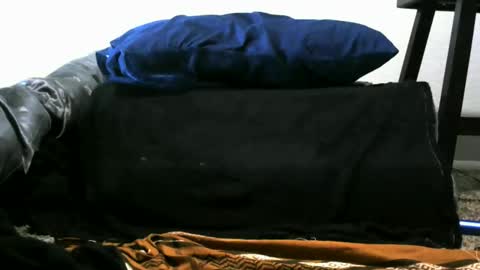 bigboybigbutt69 online show from March 19, 8:09 am