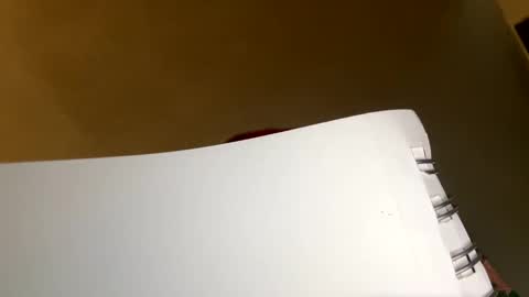 bigdaddynick069 online show from February 17, 3:00 pm