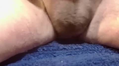 BigDog online show from February 10, 2:26 pm