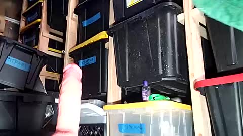 bigmanaround9 online show from December 6, 6:55 pm