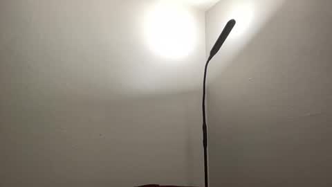 Snapshot of bigmcr1 chatting on January 26, 1:20 am Nick Barker online show from January 26, 1:20 am