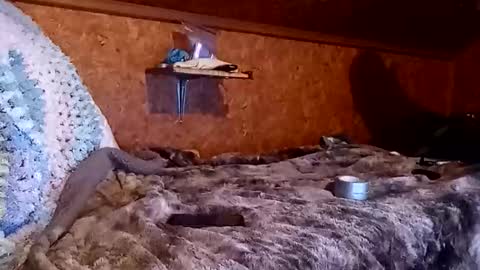 bigmike5081 online show from December 18, 2:07 am