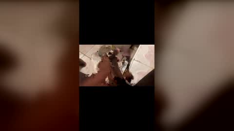 Bignath online show from March 22, 10:47 pm