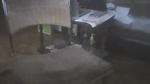 Snapshot of bigpenix chatting on January 15, 2:06 am bigpenix online show from January 15, 2:06 am