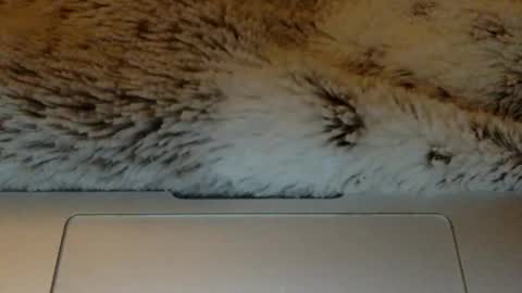 bigtitslover3500 online show from March 21, 9:47 am