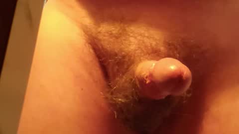 bill_25061 online show from November 13, 4:31 pm