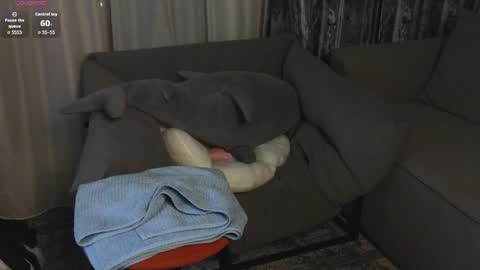 bimboterica online show from March 12, 5:06 pm