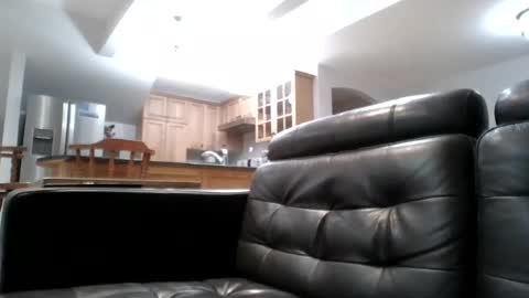 blackcat431956 online show from June 18, 3:34 am