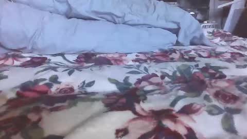 blame1269 online show from October 27, 7:03 pm